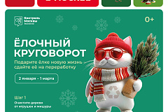 Ёлочный круговорот